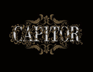 TECH_EXPORT_ETIQ_CAPITOR_vect